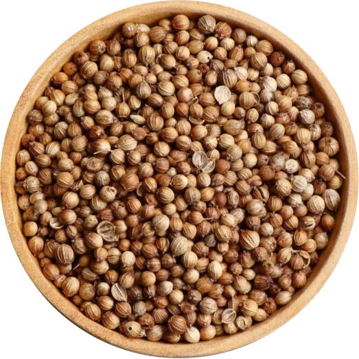 Coriander Seeds