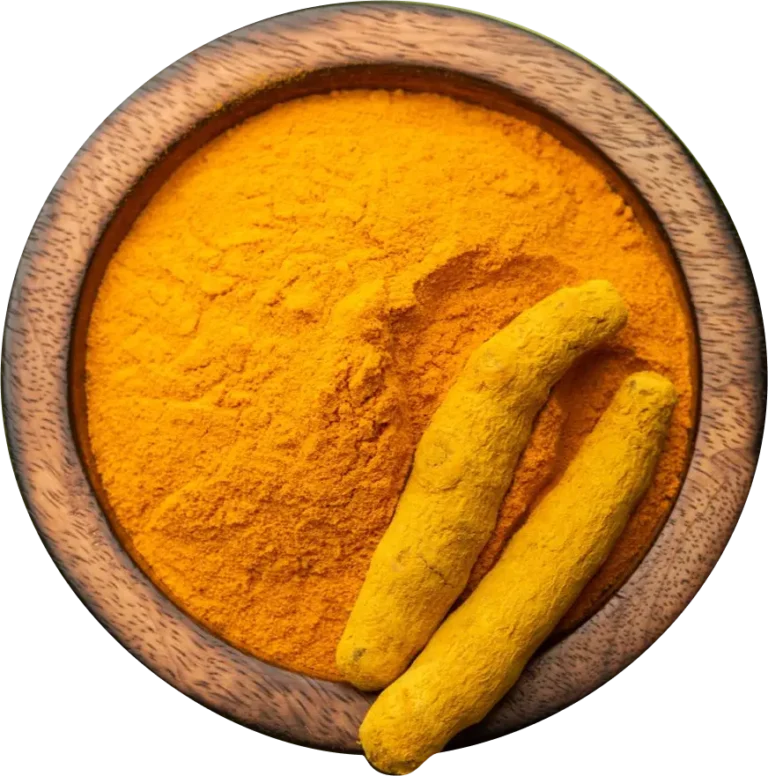 Turmeric Exporters